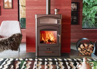 Austroflamm Pallas Back Kaminofen Koch- Backofen