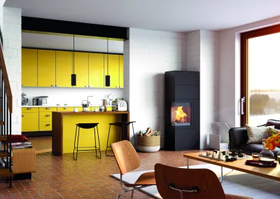 Hase Kaminofen SendaiPro165