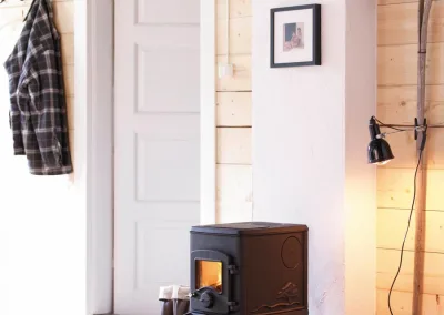 Orion Nordpeis Kaminofen